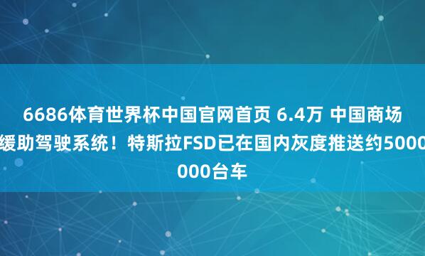 6686体育世界杯中国官网首页 6.4万 中国商场最贵缓助驾驶系统!特斯拉FSD已在国内灰度推送约5000台车