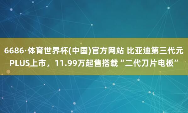 6686·体育世界杯(中国)官方网站 比亚迪第三代元PLUS上市，11.99万起售搭载“二代刀片电板”
