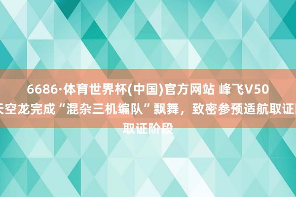 6686·体育世界杯(中国)官方网站 峰飞V5000天空龙完成“混杂三机编队”飘舞,致密参预适航取证阶段