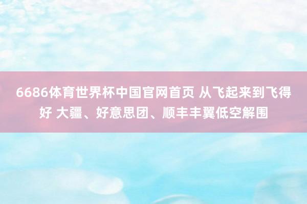 6686体育世界杯中国官网首页 从飞起来到飞得好 大疆、好意思团、顺丰丰翼低空解围