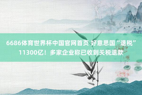 6686体育世界杯中国官网首页 好意思国“退税”11300亿!多家企业称已收到关税退款