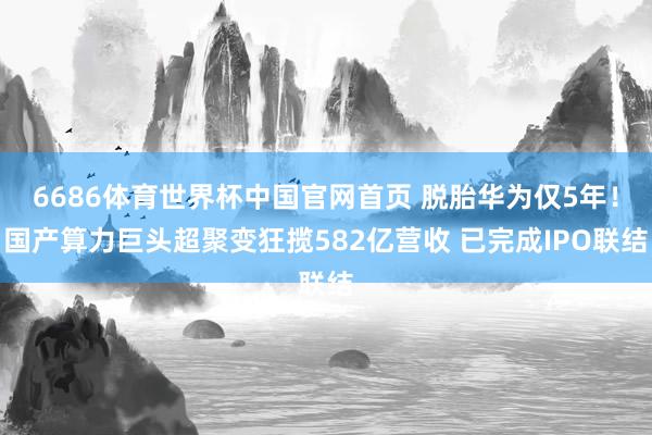 6686体育世界杯中国官网首页 脱胎华为仅5年!国产算力巨头超聚变狂揽582亿营收 已完成IPO联结