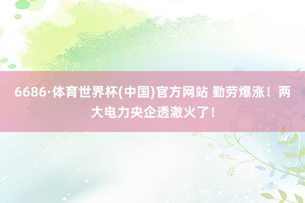 6686·体育世界杯(中国)官方网站 勤劳爆涨！两大电力央企透澈火了！