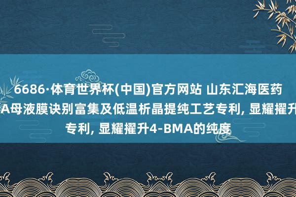 6686·体育世界杯(中国)官方网站 山东汇海医药化工央求4-BMA母液膜诀别富集及低温析晶提纯工艺专利, 显耀擢升4-BMA的纯度