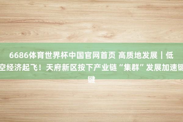 6686体育世界杯中国官网首页 高质地发展|低空经济起飞!天府新区按下产业链“集群”发展加速键