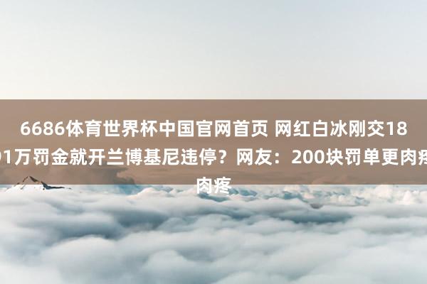 6686体育世界杯中国官网首页 网红白冰刚交1891万罚金就开兰博基尼违停?网友:200块罚单更肉疼