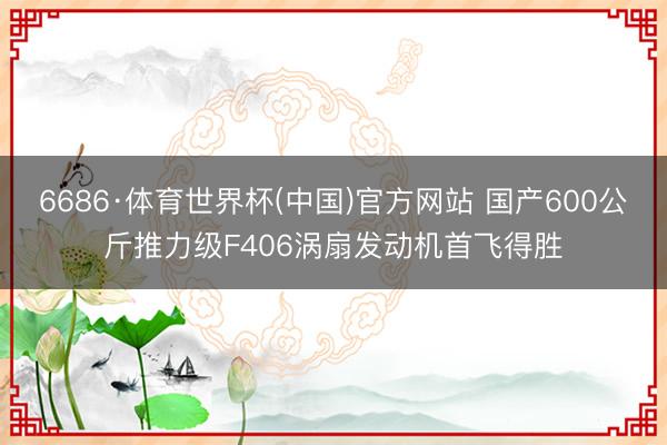 6686·体育世界杯(中国)官方网站 国产600公斤推力级F406涡扇发动机首飞得胜