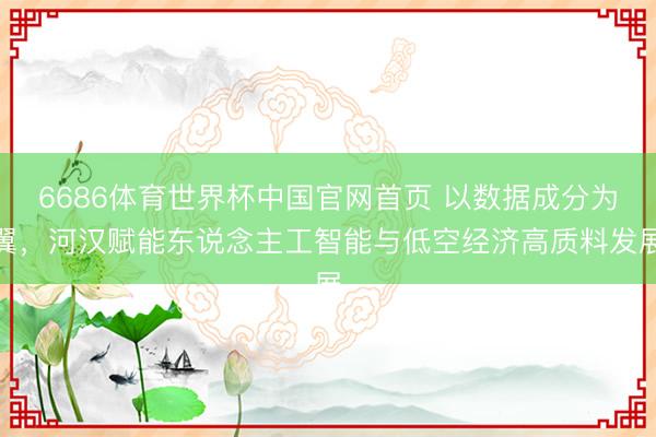 6686体育世界杯中国官网首页 以数据成分为翼,河汉赋能东说念主工智能与低空经济高质料发展